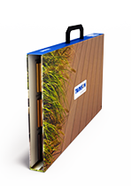 ����� �����